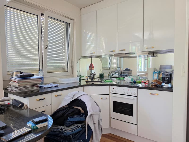 Befristete 3 Zimmer-Wohnung in Zürich mieten (3)