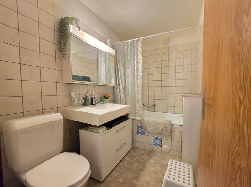 Charmante 3.5 Zimmer Wohnung mit Balkon (7)