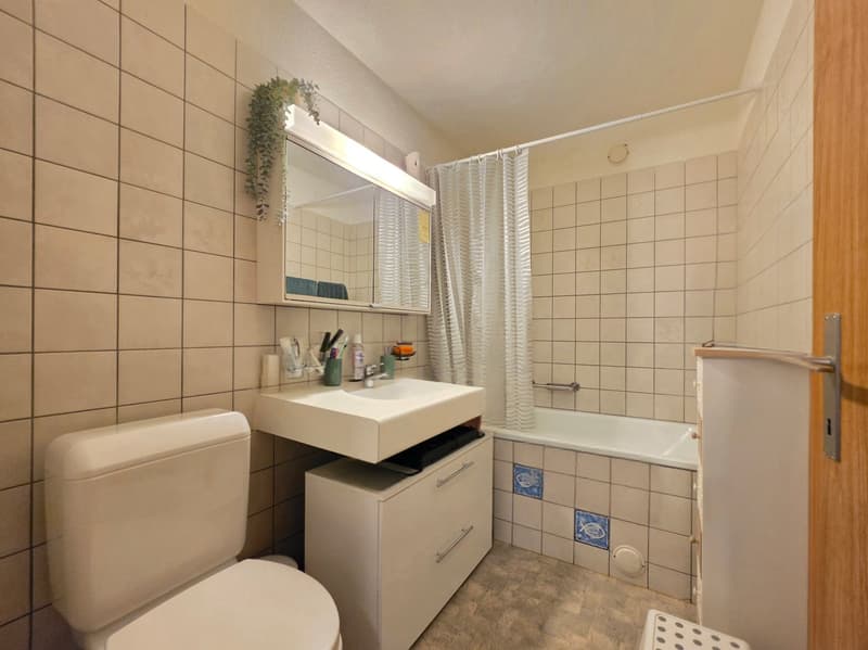 Charmante 3.5 Zimmer Wohnung mit Balkon (6)