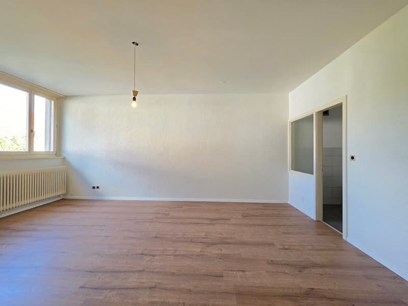 Aufgefrischte 1-Zimmer-Wohnung, perfekt für Singles und Pendler! (8)