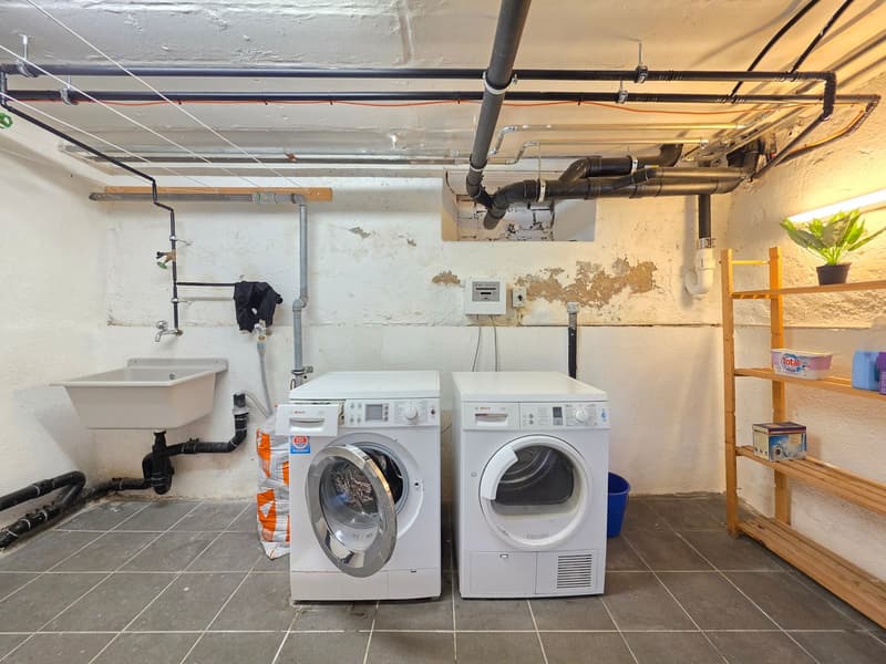 Aufgefrischte 2.5-Zimmer-Wohnung – perfekt für Singles oder Paare! (12)