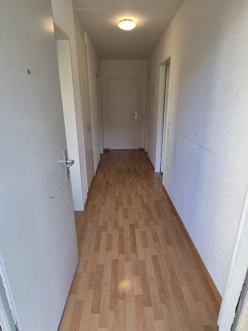 Gemütliche 3-Zimmer-Wohnung mit Balkon in St. Margrethen! (9)