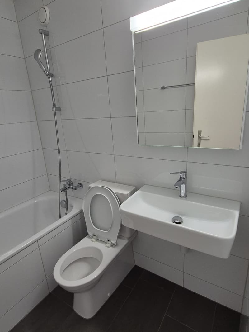 Gemütliche 3-Zimmer-Wohnung mit Balkon in St. Margrethen! (4)