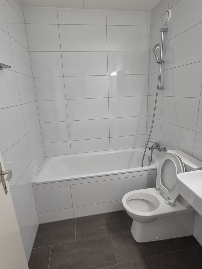 Gemütliche 3-Zimmer-Wohnung mit Balkon in St. Margrethen! (3)
