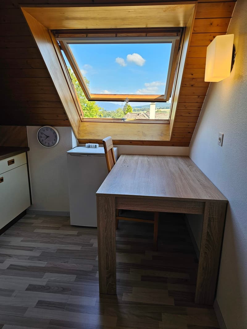 Charmant appartement de 2 pièces à Courfaivre (15)