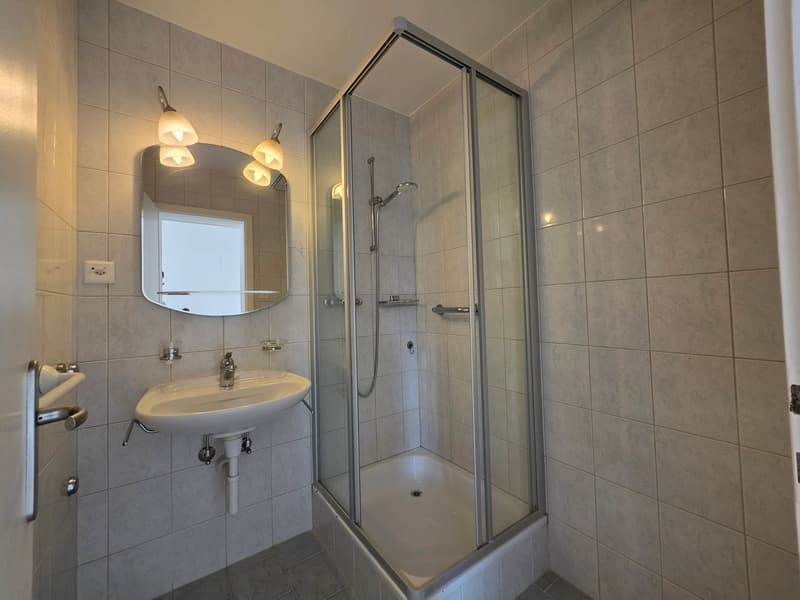 Spacieux appartement de 4 pièces avec vue imprenable! (13)