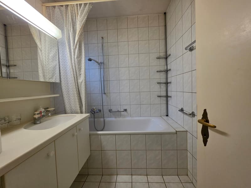 Grosszügige, helle 2-Zimmer-Wohnung, an zentrale Wohnlage (15)