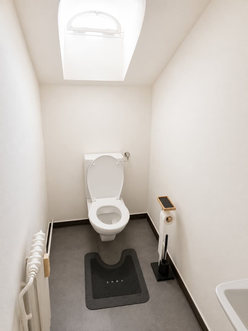 Charmante 2-Zimmer-Dachgeschosswohnung in Rorschach (7)