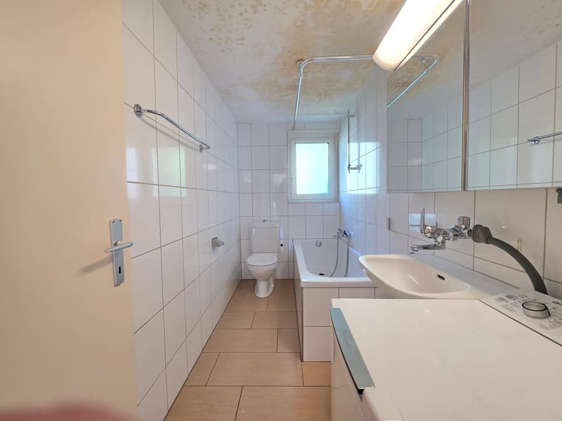 Charmante 4 Zimmer Wohnung per sofort zu vermieten. (4)