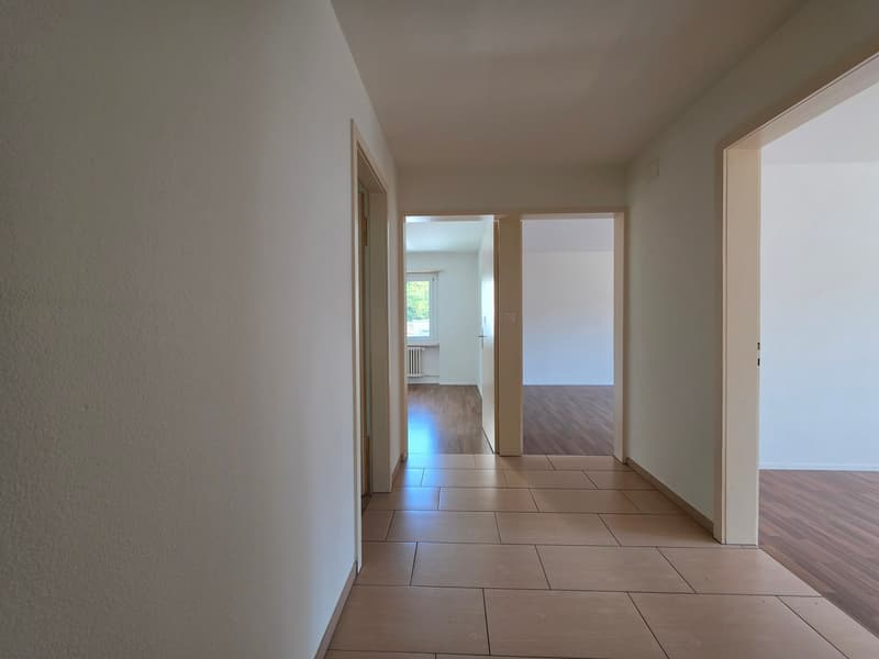 Charmante 4 Zimmer Wohnung per sofort zu vermieten. (14)