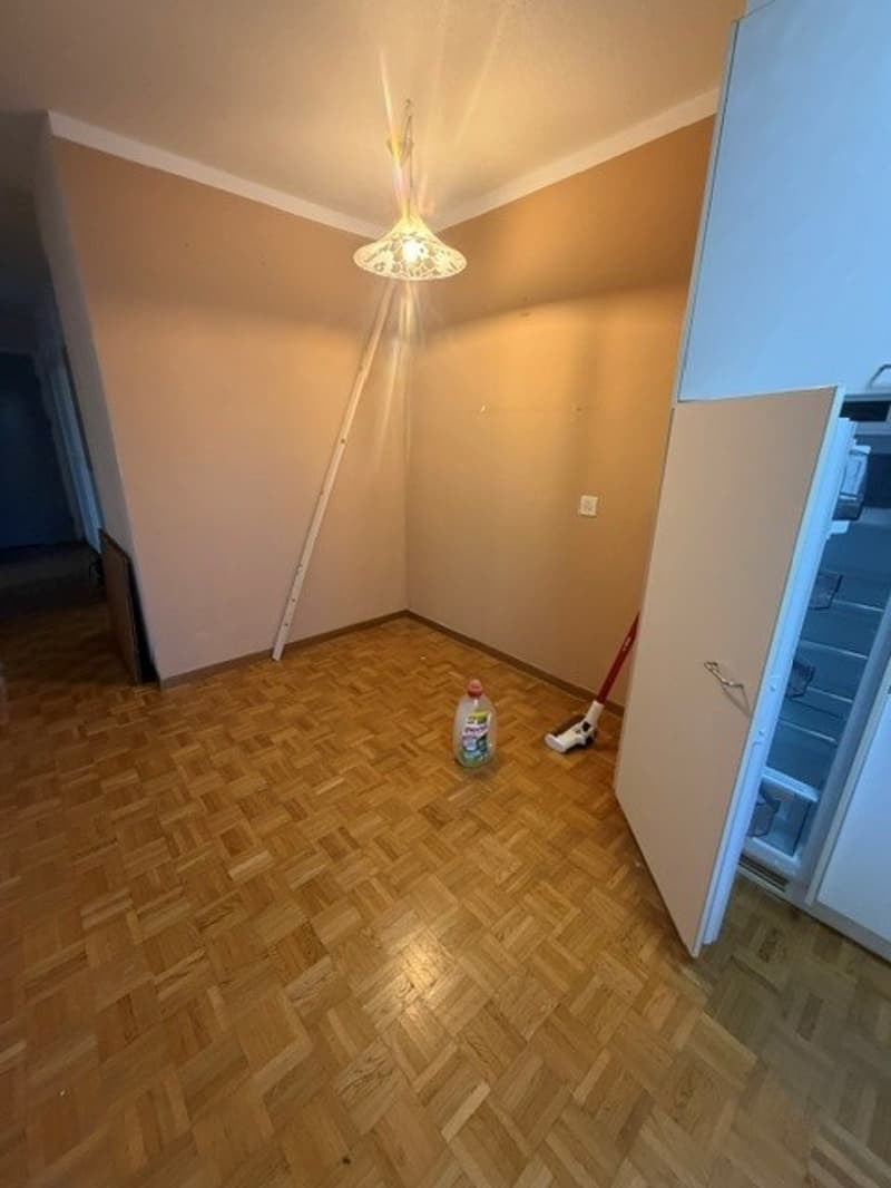 Grosszügige 2 ZWG per sofort zu vermieten (10)