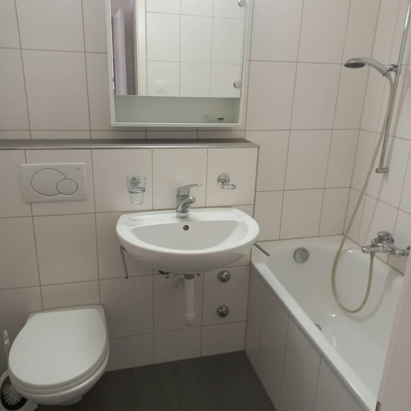 Gemütliche 2-Zimmer-Wohnung in Bettlach per sofort zu vermieten (12)