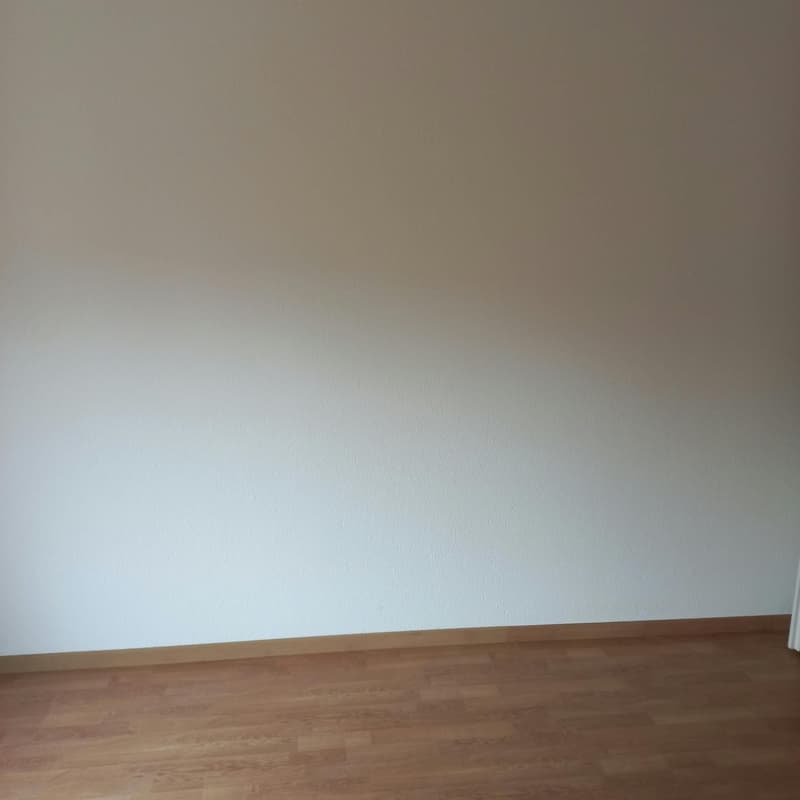 Gemütliche 2-Zimmer-Wohnung in Bettlach per sofort zu vermieten (10)