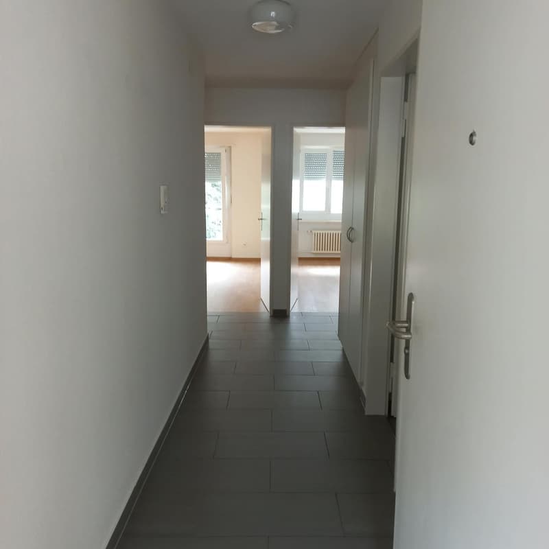 Gemütliche 2-Zimmer-Wohnung in Bettlach per sofort zu vermieten (7)