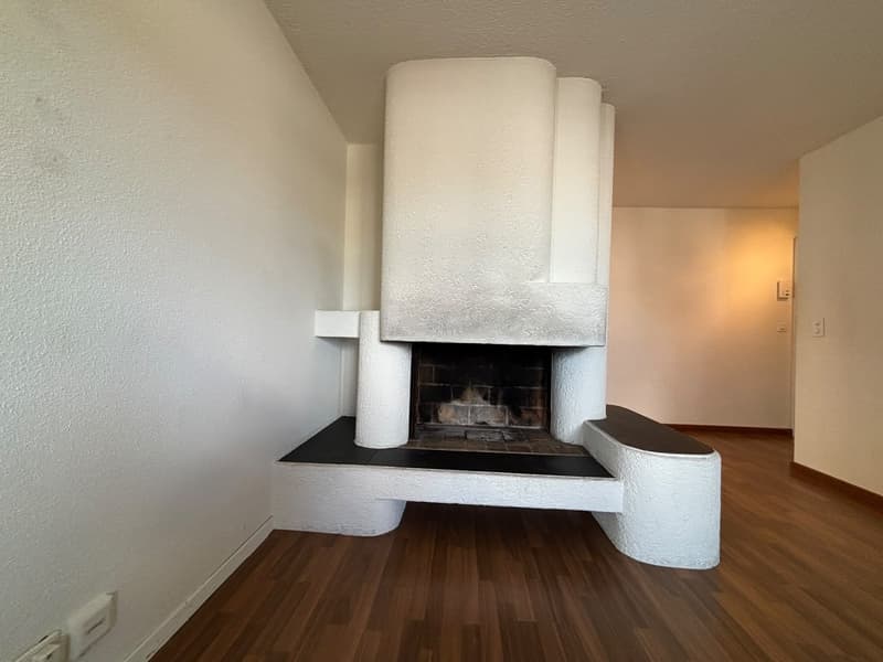 Charmante 2.5-Zimmer-Wohnung mit grosszügiger Terrasse! (6)