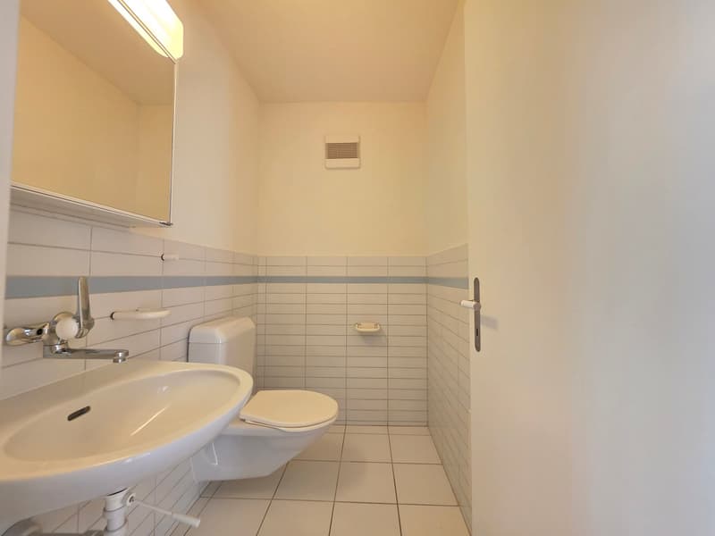 Gut gepflegte 4.5 Zimmerwohnung mit Balkon und schöner Aussicht! (8)