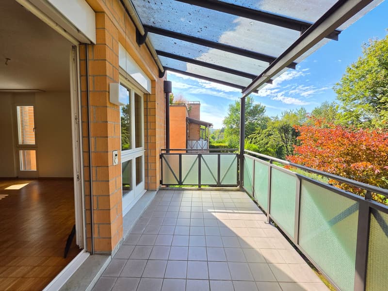 Gut gepflegte 4.5 Zimmerwohnung mit Balkon und schöner Aussicht! (17)