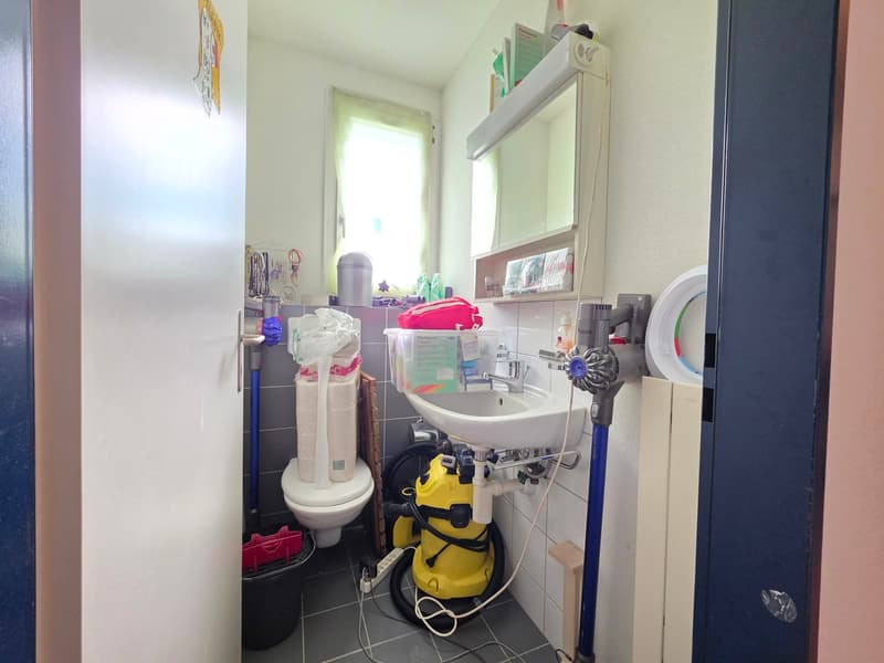 Grosszügige 4.5-Zimmer-Wohnung an zentraler Lage zu vermieten (12)