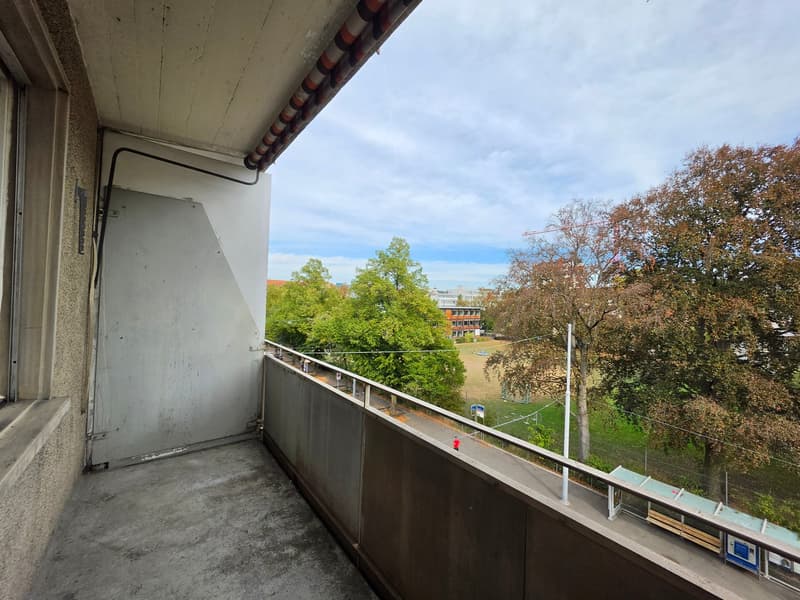 1 Zimmer-Wohnung in Zürich mieten (13)