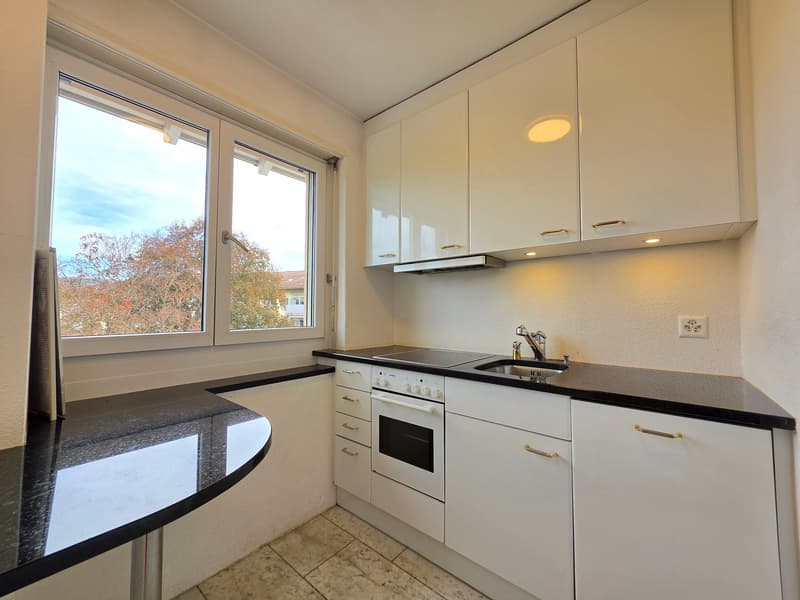 Moderne 1 Zimmer Wohnung in Zürich mieten (3)