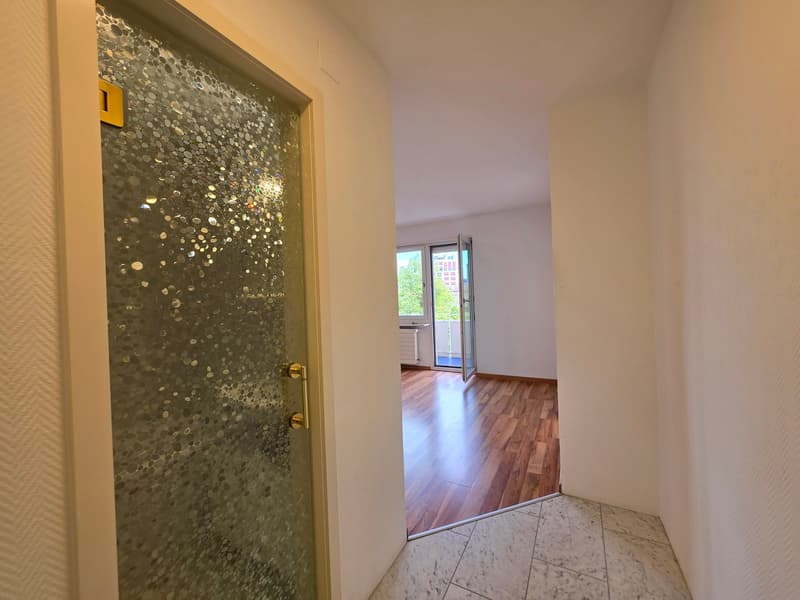 Moderne 1 Zimmer Wohnung in Zürich mieten (13)