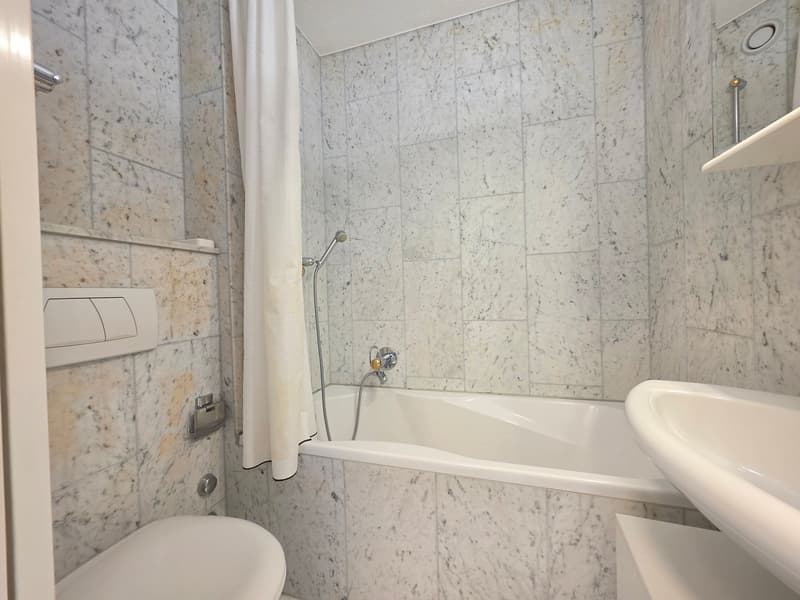 Moderne 1 Zimmer Wohnung in Zürich mieten (9)