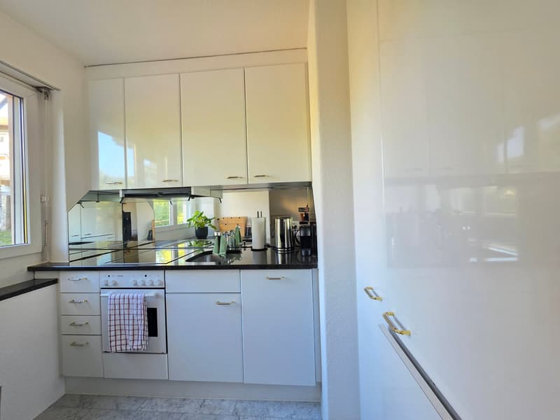 Helles 1-Zimmer-Apartment in Zürich Wiedikon (3)