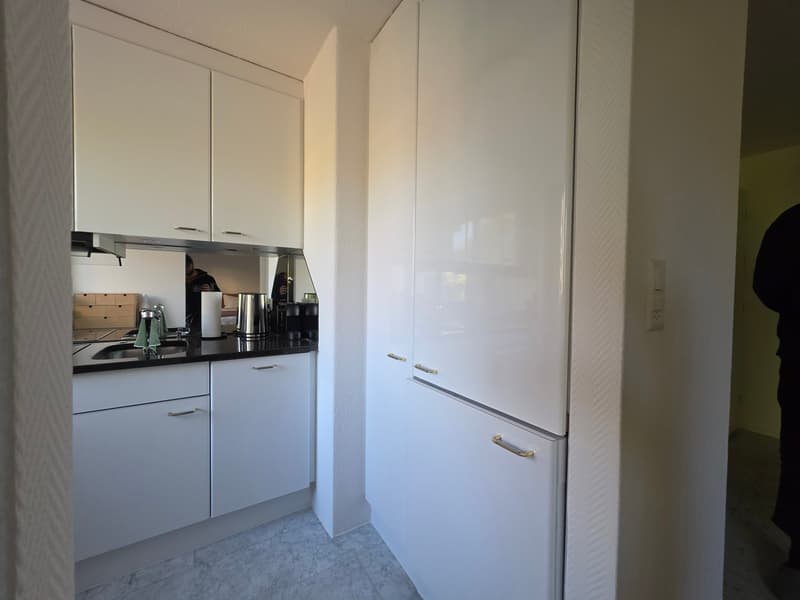 Helles 1-Zimmer-Apartment in Zürich Wiedikon (2)