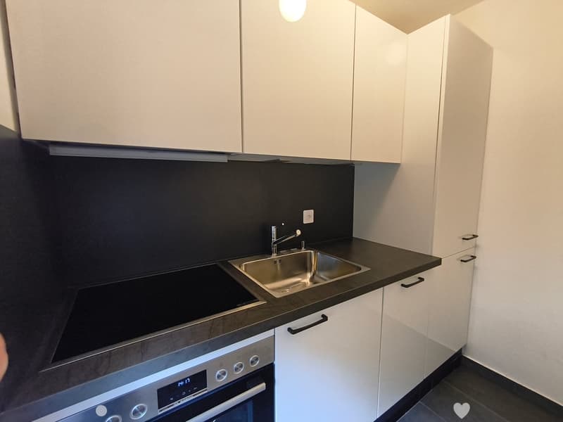 Gemütliche 2-Zimmer-Wohnung im Erdgeschoss in Biel ! (3)