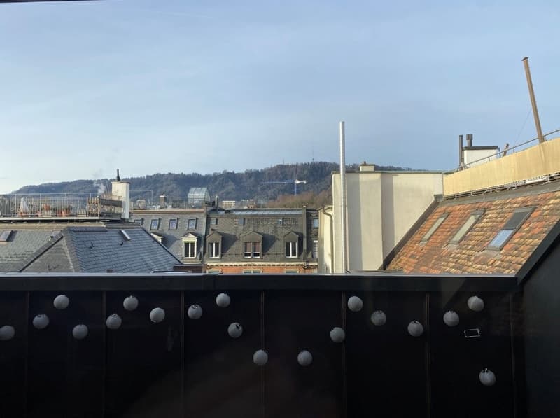 Befristete Charmante 3.5-Zimmer-Wohnung mit Balkon (13)