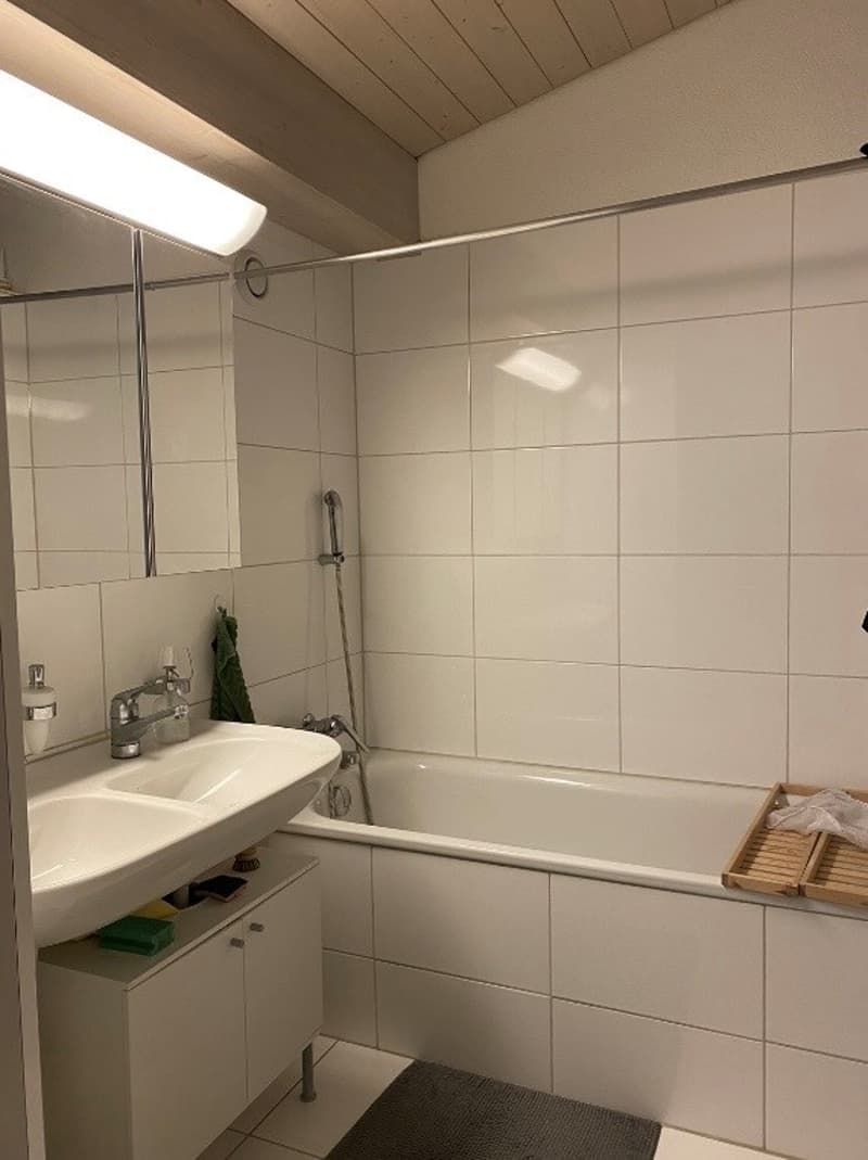Befristete Charmante 3.5-Zimmer-Wohnung mit Balkon (5)