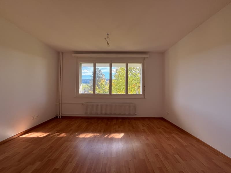 Charmant appartement de 2 pièces à Le Locle, disponible immédiatement (9)