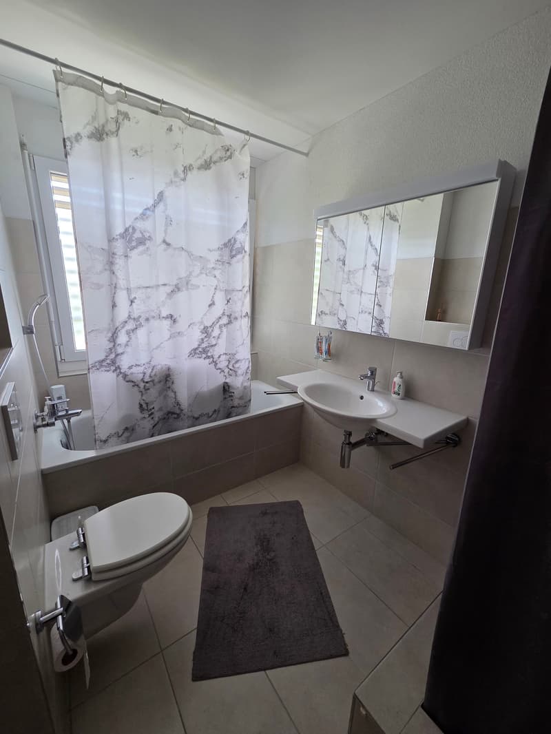 Attraktive 3.5 Zimmer-Wohnung in Spreitenbach (8)