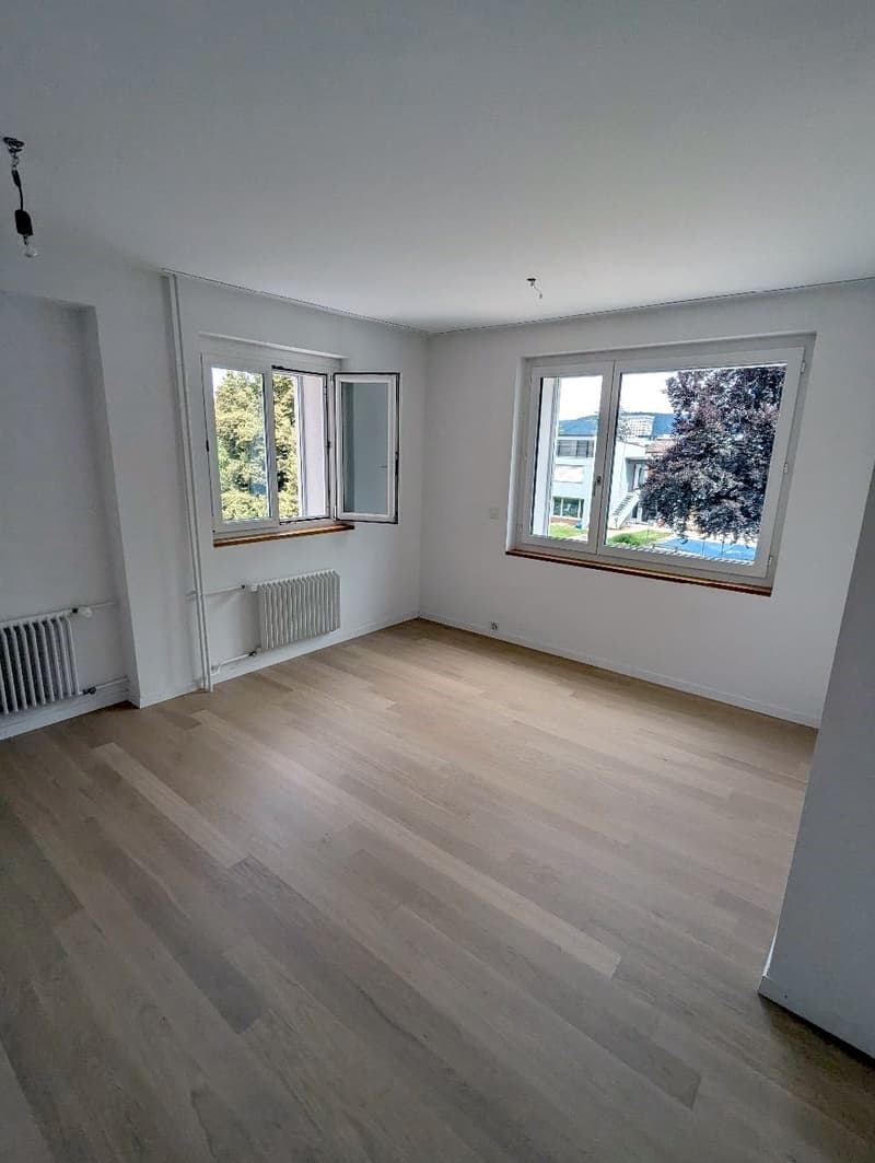 Attraktive 4.5-Zimmer-Wohnung in Schlieren (4)