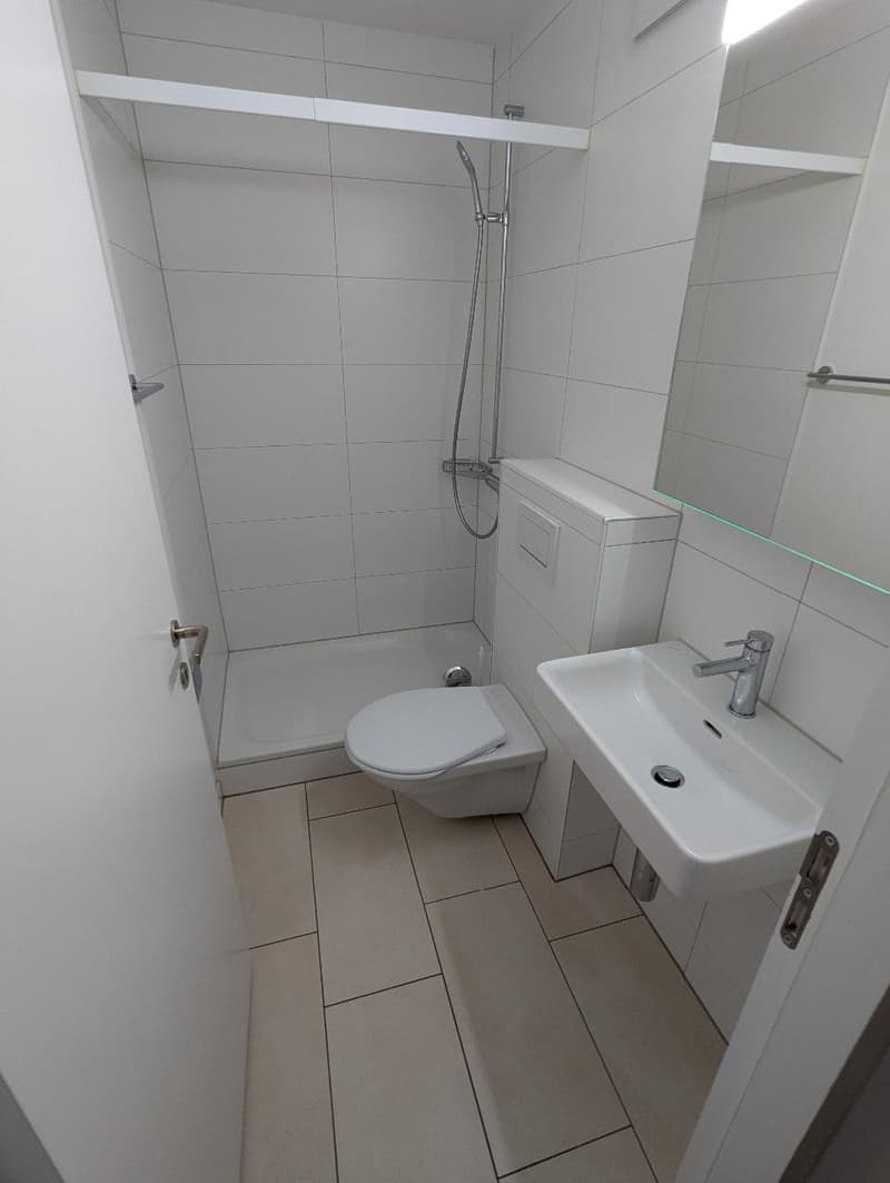 Attraktive 4.5-Zimmer-Wohnung in Schlieren (8)