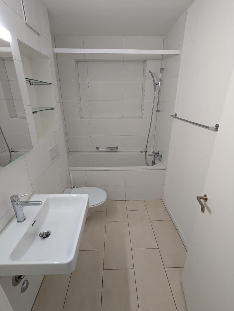 Attraktive 4.5-Zimmer-Wohnung in Schlieren (7)