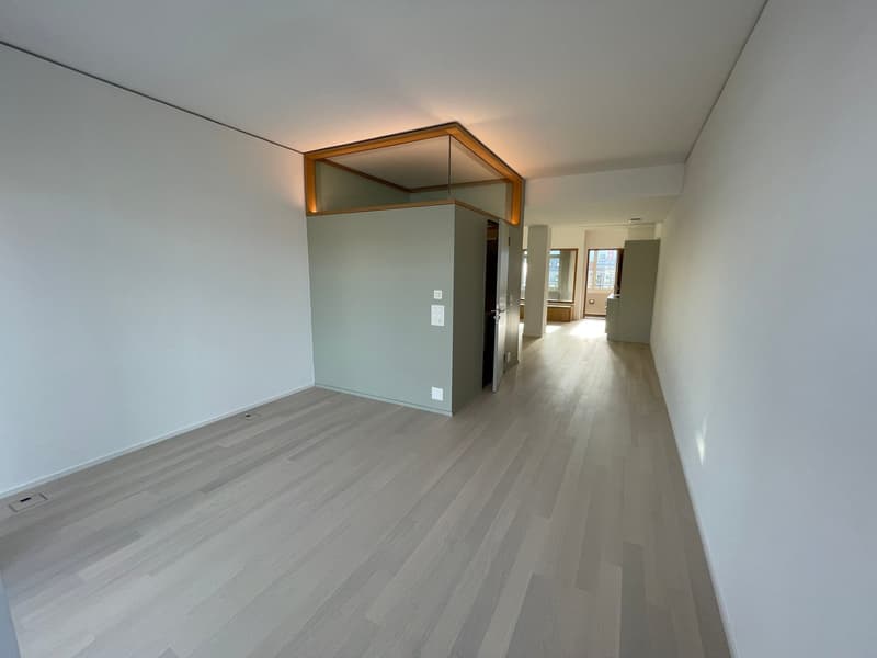 Moderne 2-Zimmerloft mit luxuriösem Balkon im Seefeld (6)