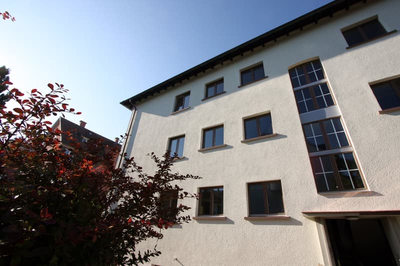 Moderne und helle 2.5 Zimmer-Wohnung Nähe Uetliberg (1)