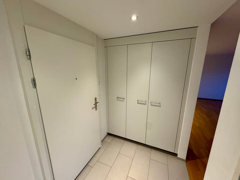Wunderbare 2-Zimmer-Wohnung in Altstetten (4)