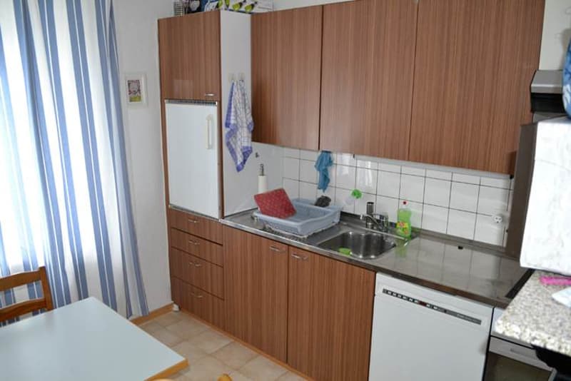 BEFRISTET: Charmante 2-Zimmer-Wohnung in Wiedikon (7)