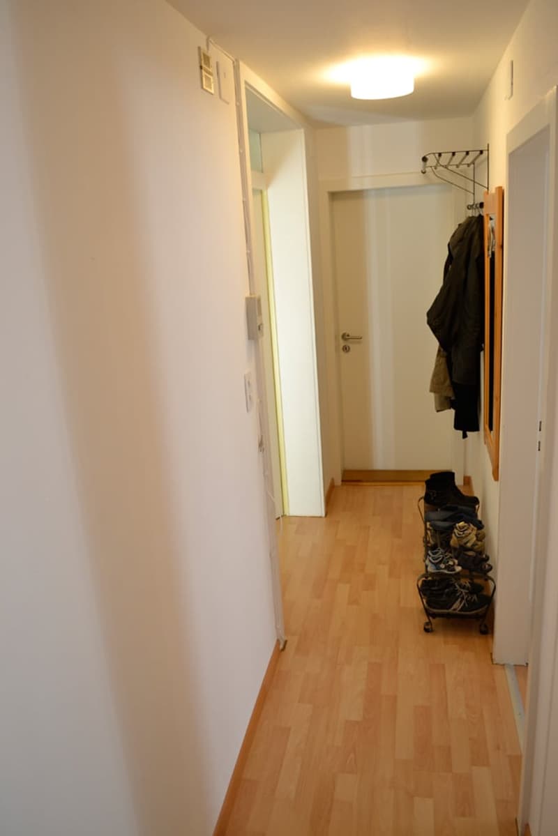 BEFRISTET: Charmante 2-Zimmer-Wohnung in Wiedikon (2)