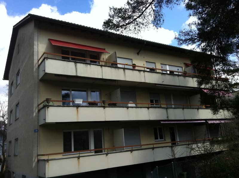 BEFRISTET: 2 Zimmerwohnung in Zürich-Altstetten (1)