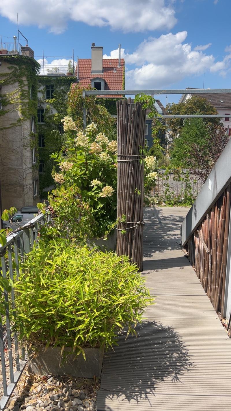 Stilvolle 2.5-Zimmer-Maisonettewohnung mit Dachterrasse in Zürich 8004 (1)