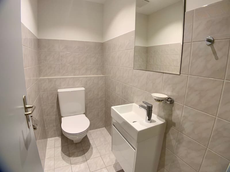 Individuelles Wohnen | 4.5-Zimmer-Wohnung in Dottikon (7)