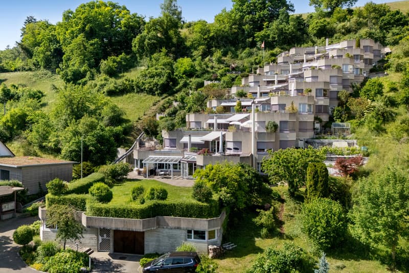 WhgSchaffhausen30