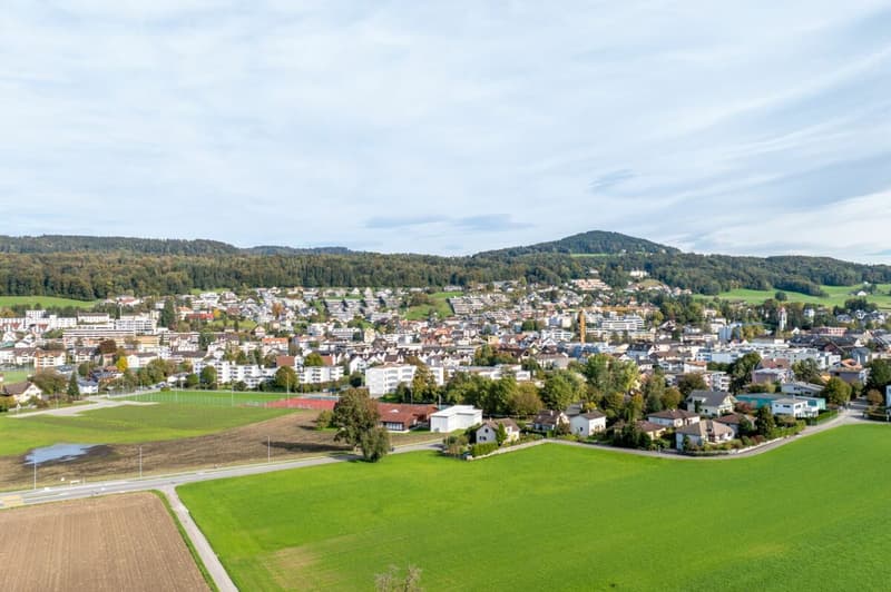 POMERA - Modern wohnen. Natürlich leben. (5)