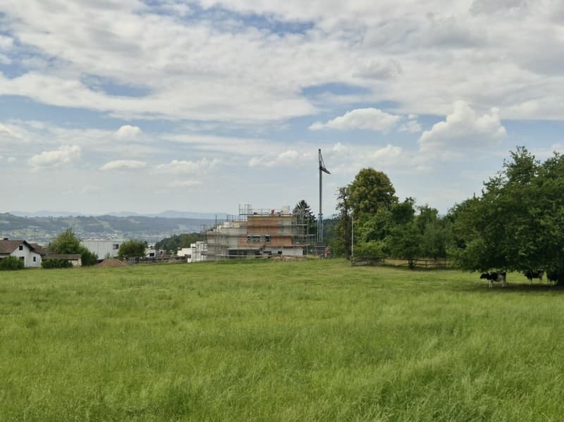 Letzte Gelegenheit - Ihr Zuhause mit Blick zum Hallwilersee (4)