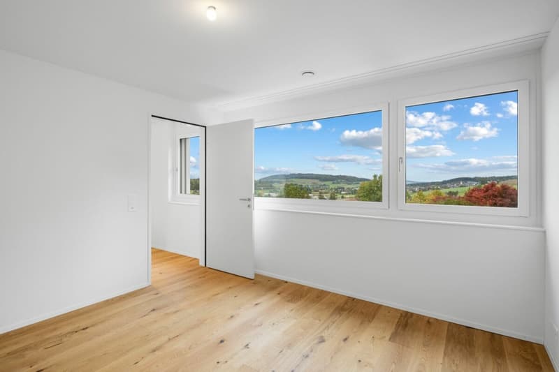 Letzte Gelegenheit - Ihr Zuhause mit Blick zum Hallwilersee (1)