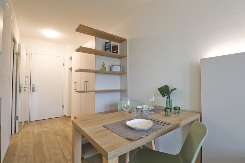 Exklusive möblierte Apartments mit eigenem Badezimmer und Kochzeile an Toplage (7)