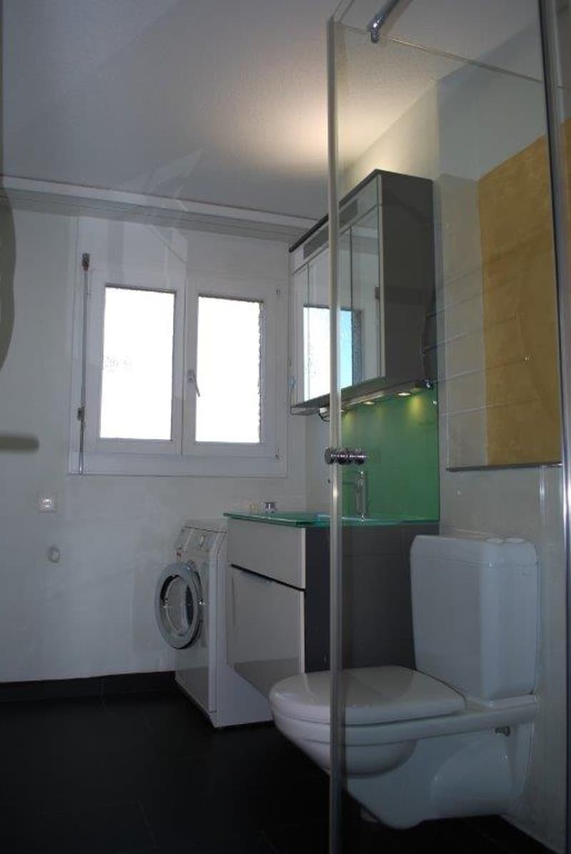 white toilet, sink, modern shower, washing machine